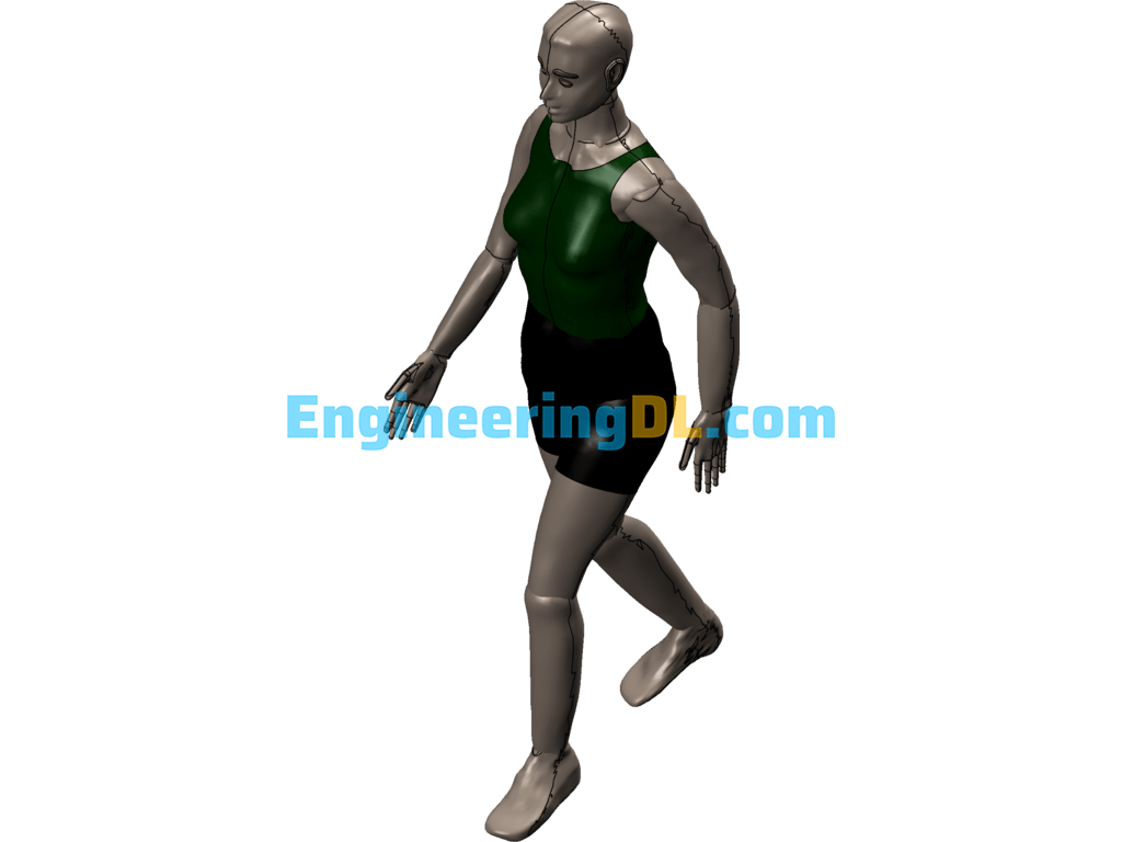 Woman Human Mannequin Design Sw Model SolidWorks Free Download