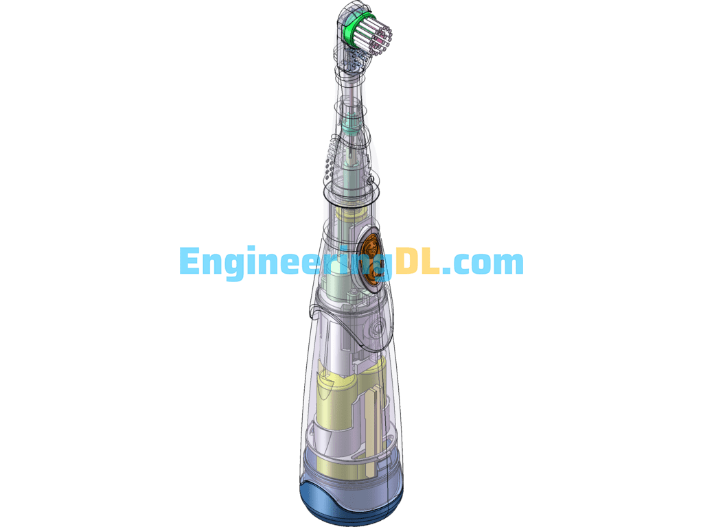 Detailed Structure Of The Electric Toothbrush Model SolidWorks, 3D Exported Free Download